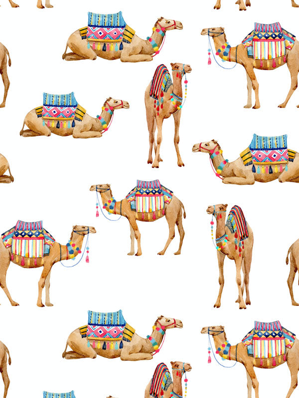 Camel Wallpaper