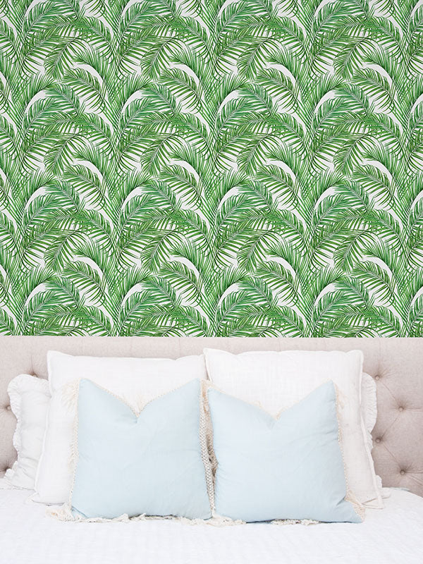 Coconut Palm Leaf Wallpaper