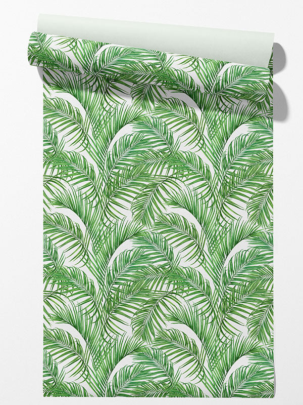 Coconut Palm Leaf Wallpaper