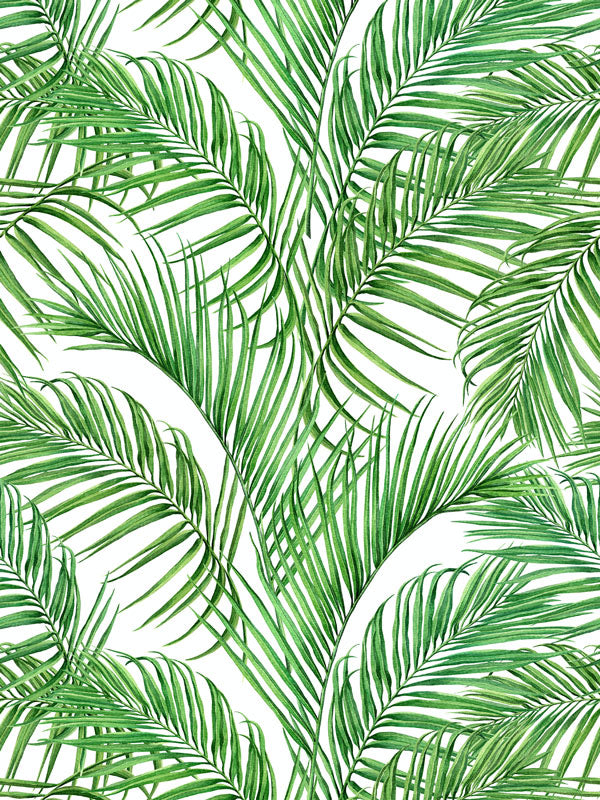 Coconut Palm Leaf Wallpaper