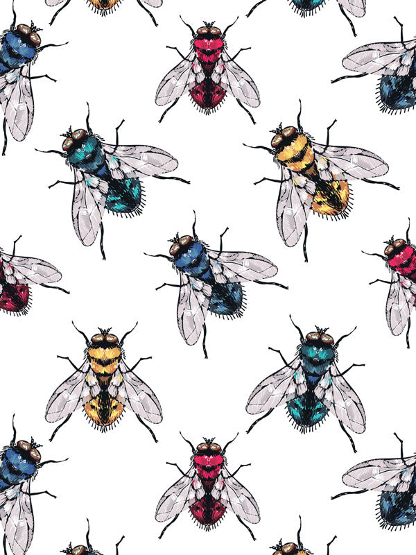 Insect Wallpaper - Murals Decor