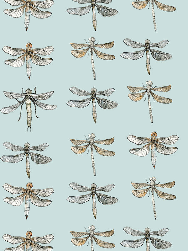 Muted Dragonfly Wallpaper