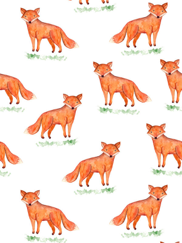 Orange Fox Wallpaper