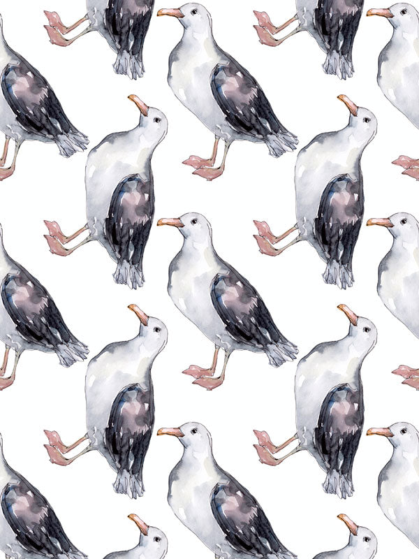 Seagull Wallpaper