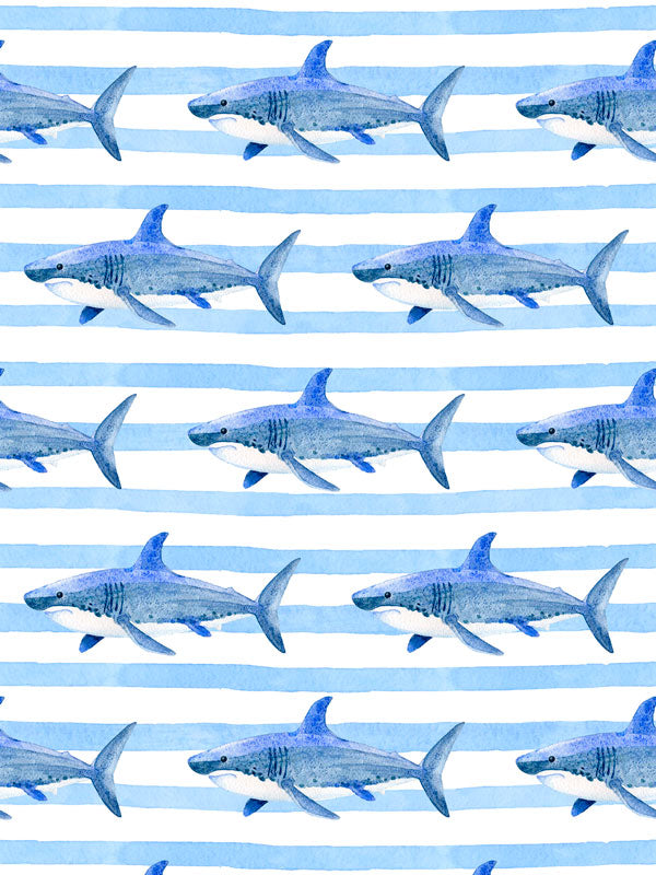 Shark Stripe Wallpaper